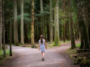 Persona cammina verso una biforcazione in un sentiero nel bosco